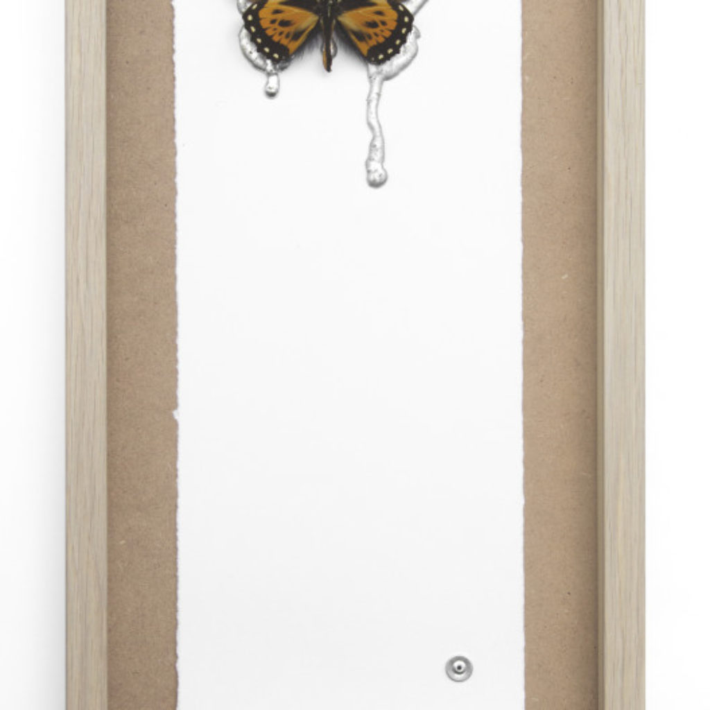 sometimes I feel like. stagno e farfalla su mdf cm. 52,5 x 25,5. 2015